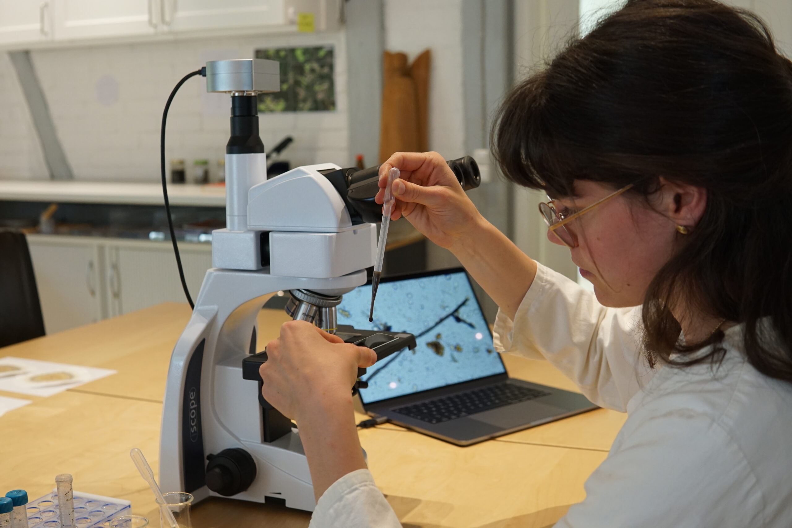 Linda Prepping Slide 4