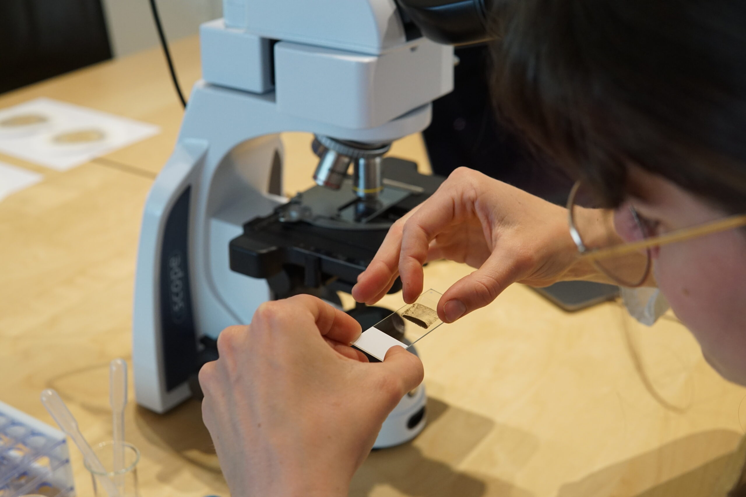 Linda Prepping Slide 5